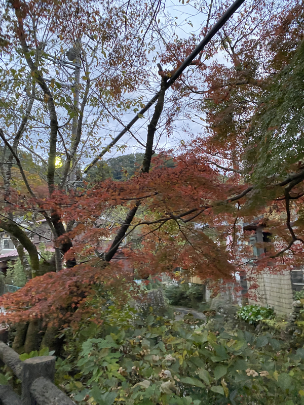 f:id:katsutoshichang:20211108112441j:plain