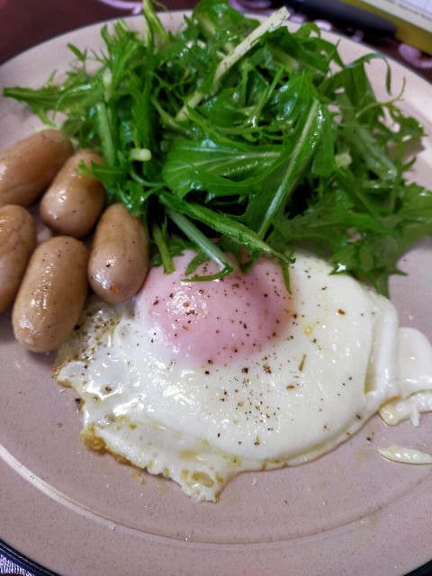 f:id:katsuwonosashimi:20200504211713j:image f:id:katsuwonosashimi:20200504211713j:image