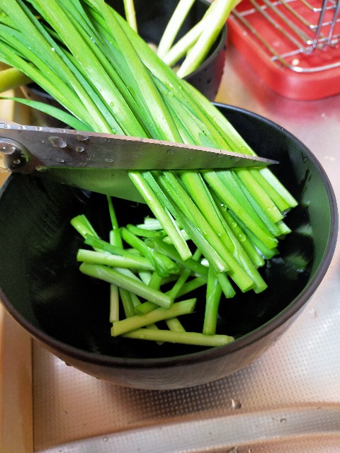 f:id:katsuwonosashimi:20200513143555j:image f:id:katsuwonosashimi:20200513143555j:image