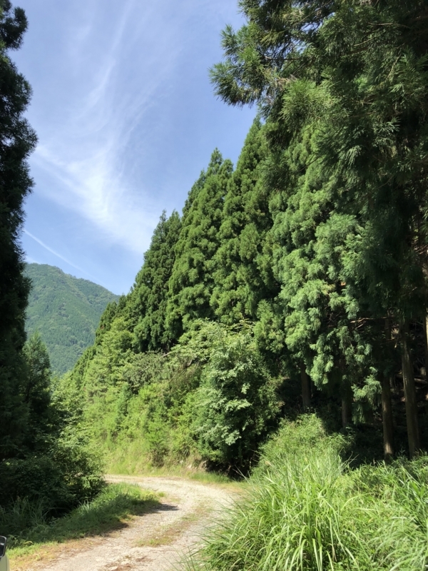 f:id:katsuya884:20180725105604j:image:w360