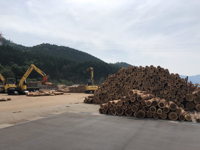 f:id:katsuya884:20180725143406j:image:w360