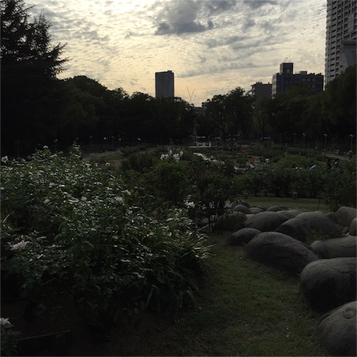f:id:katsuyuki146:20161014231504j:image f:id:katsuyuki146:20161014231504j:image