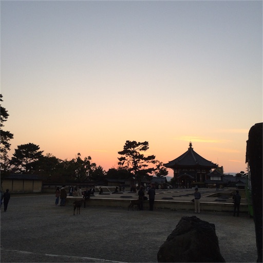 f:id:katsuyuki146:20161107210947j:image f:id:katsuyuki146:20161107210947j:image