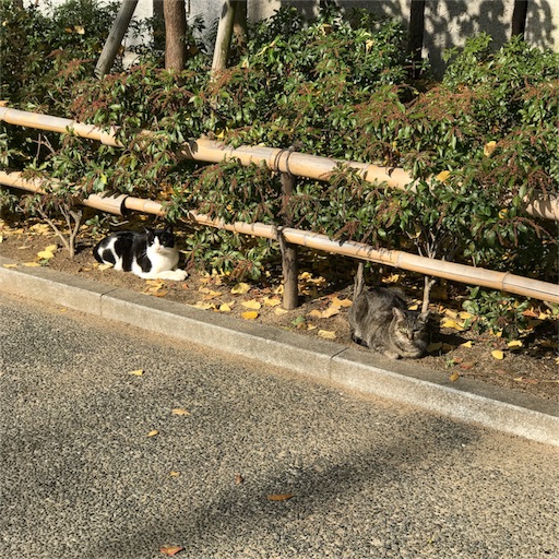 f:id:katsuyuki146:20161205175230j:image f:id:katsuyuki146:20161205175230j:image