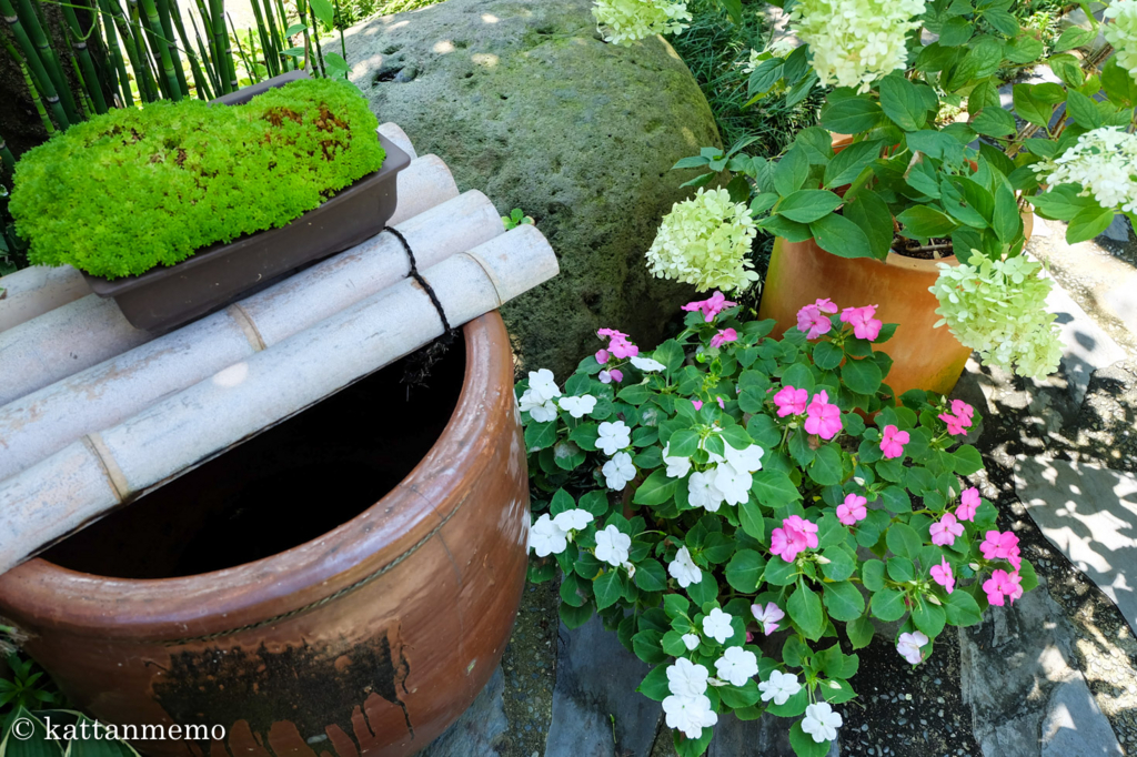 隠れ家カフェ お花茶屋 Ohana Chaya 福間 ねごやんブログ