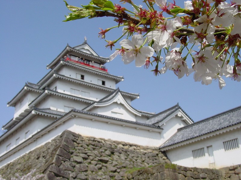 イメージ 1