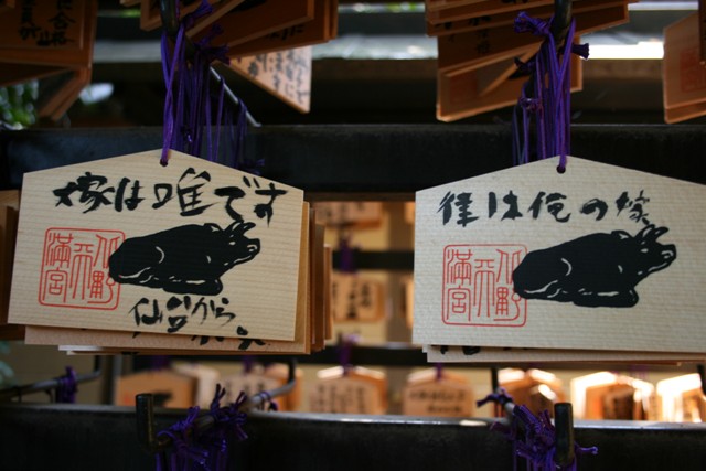 イメージ 14