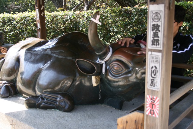イメージ 15