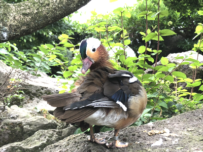 f:id:kattie_travel:20180604215818j:plain f:id:kattie_travel:20180604215818j:plain