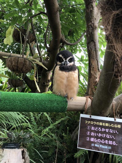 f:id:kattie_travel:20180604215820j:plain f:id:kattie_travel:20180604215820j:plain