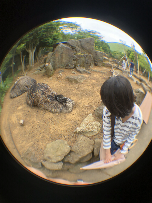 f:id:kattie_travel:20180604215821j:plain f:id:kattie_travel:20180604215821j:plain