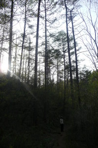 f:id:kattobi88:20080522125559j:image f:id:kattobi88:20080522125559j:image