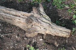 f:id:kattobi88:20080522132532j:image f:id:kattobi88:20080522132532j:image