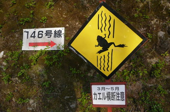 f:id:kattobi88:20080522133421j:image f:id:kattobi88:20080522133421j:image