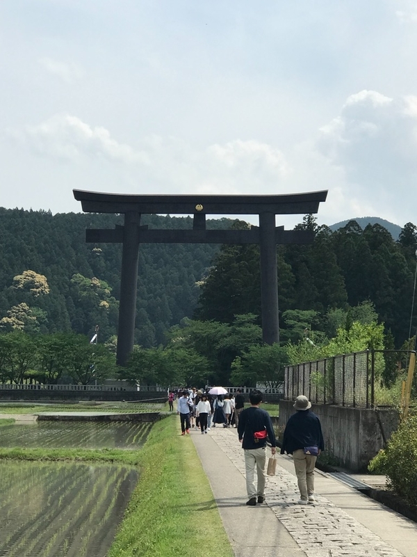 イメージ 7