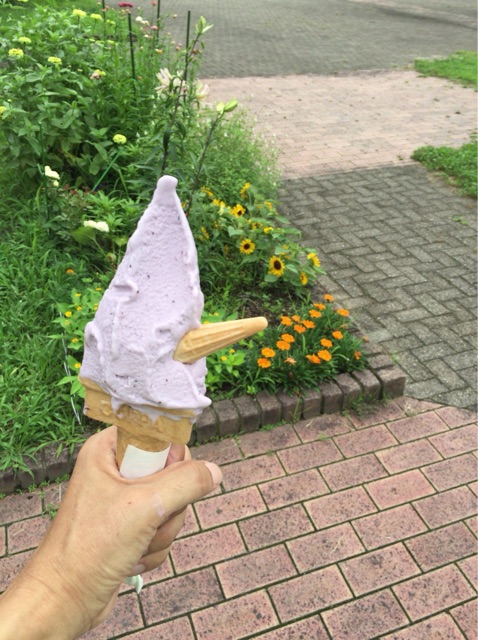 イメージ 3