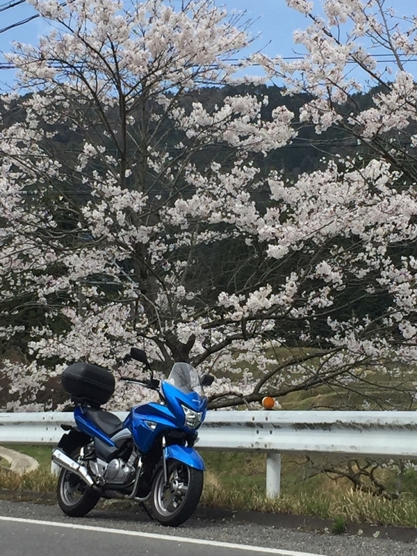 イメージ 2