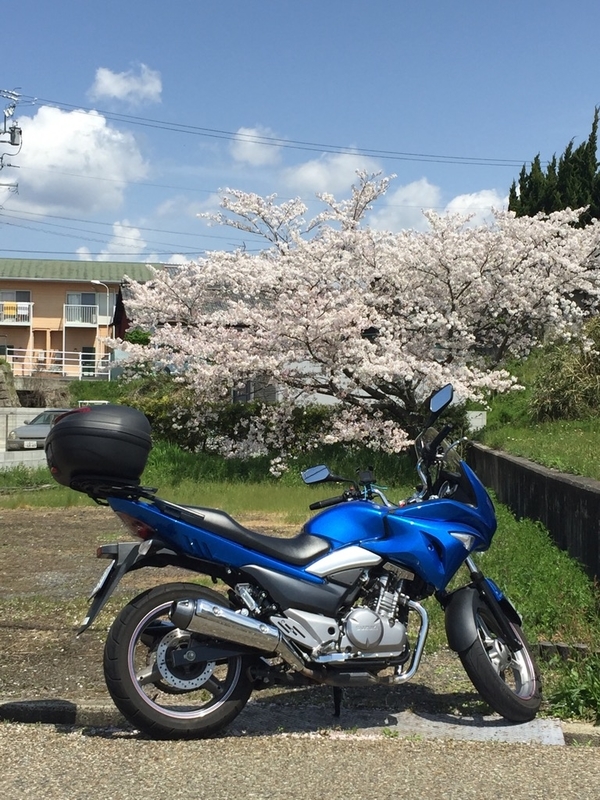 イメージ 3