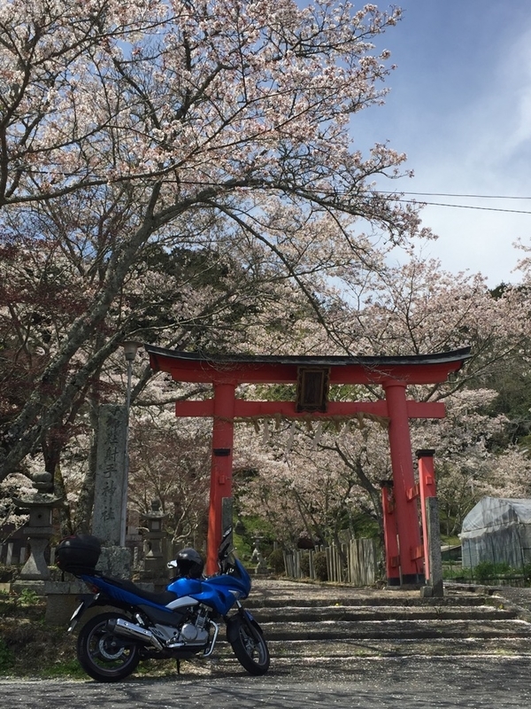イメージ 6