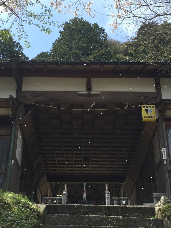 イメージ 8