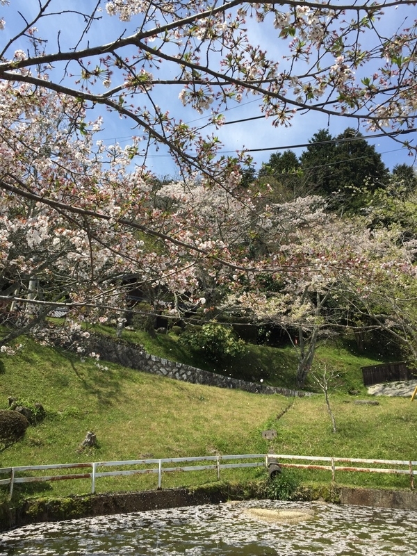 イメージ 9