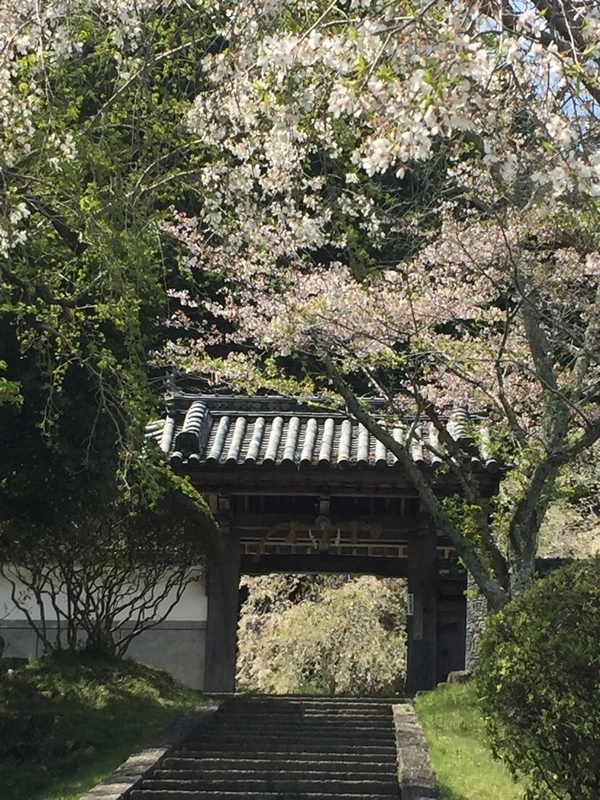 イメージ 11