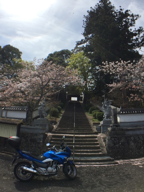 イメージ 12