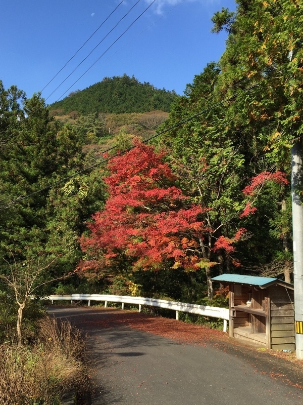 イメージ 12
