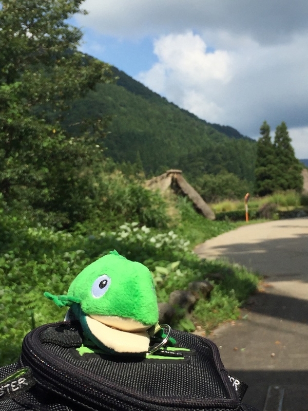 イメージ 7