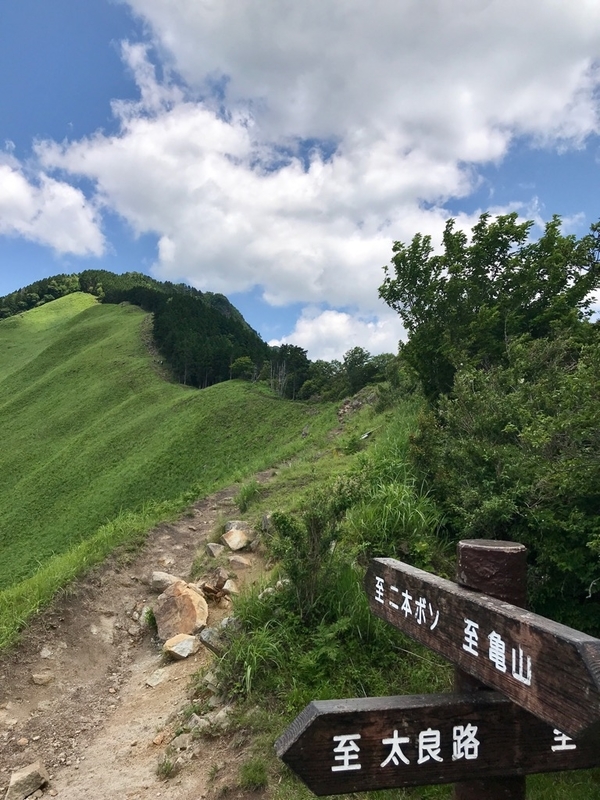 イメージ 12