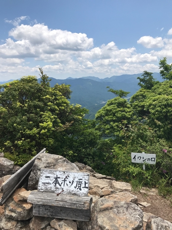 イメージ 14