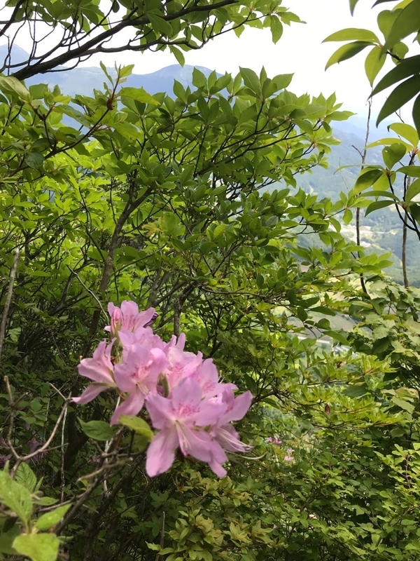 イメージ 17