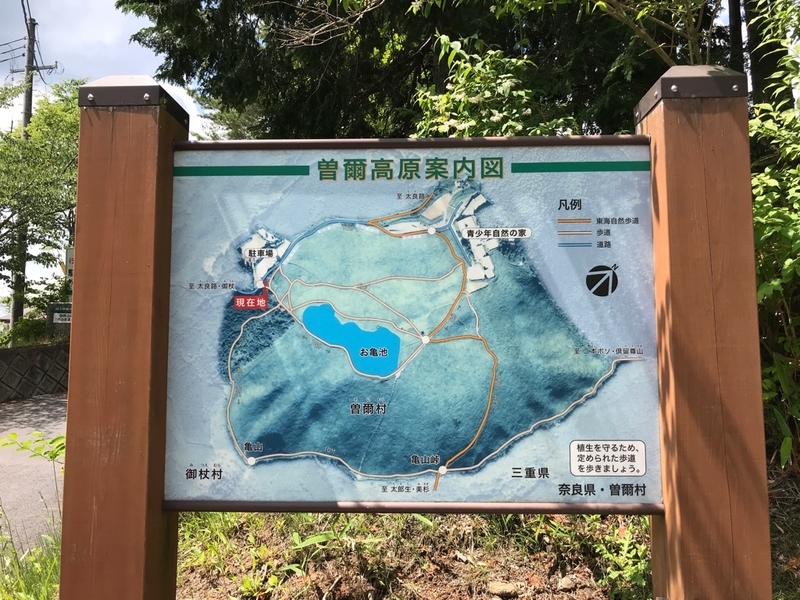 イメージ 5