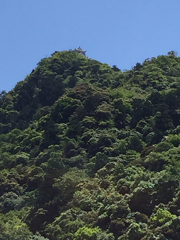 イメージ 13