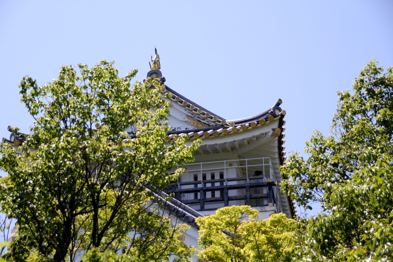 イメージ 19