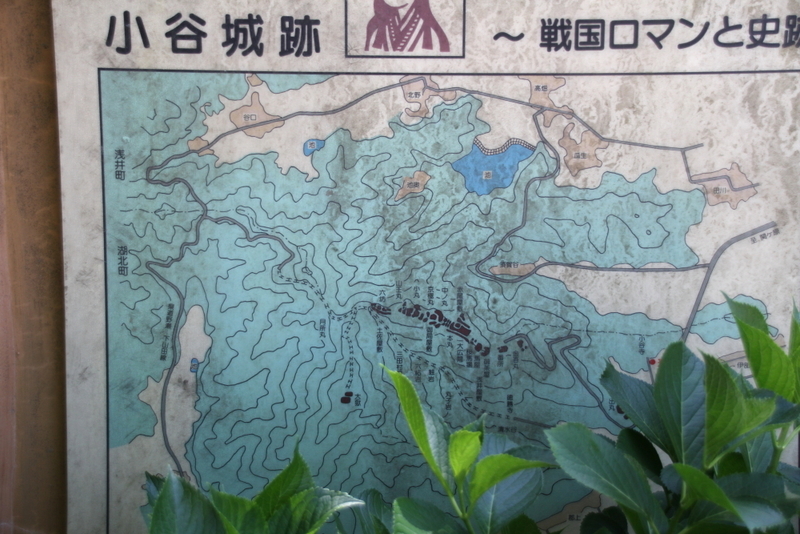イメージ 5