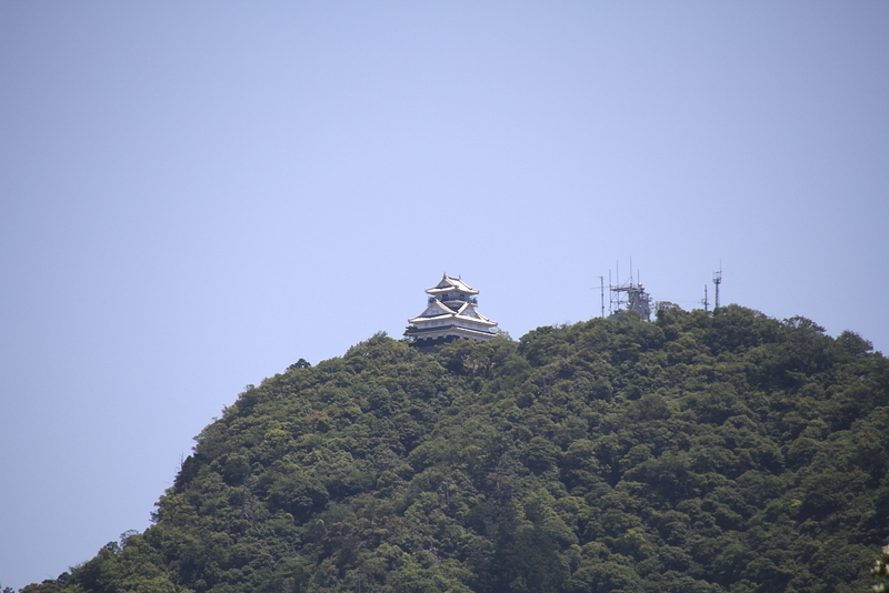 イメージ 6