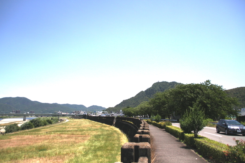 イメージ 7
