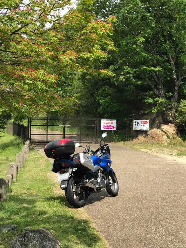 イメージ 3