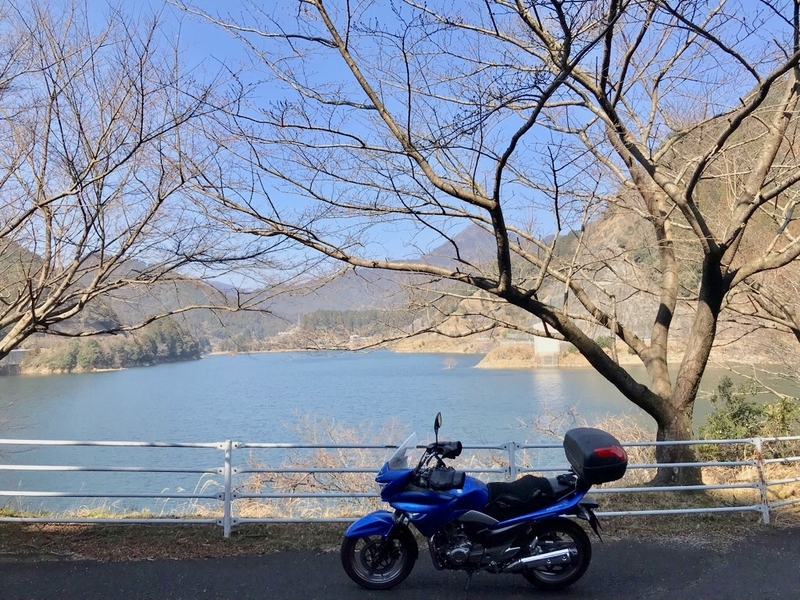 イメージ 3