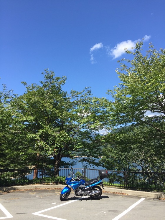 イメージ 16