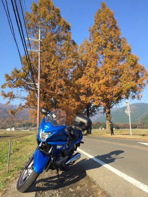 イメージ 7