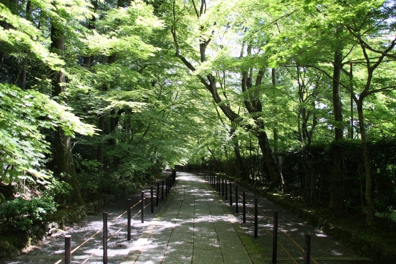 イメージ 8