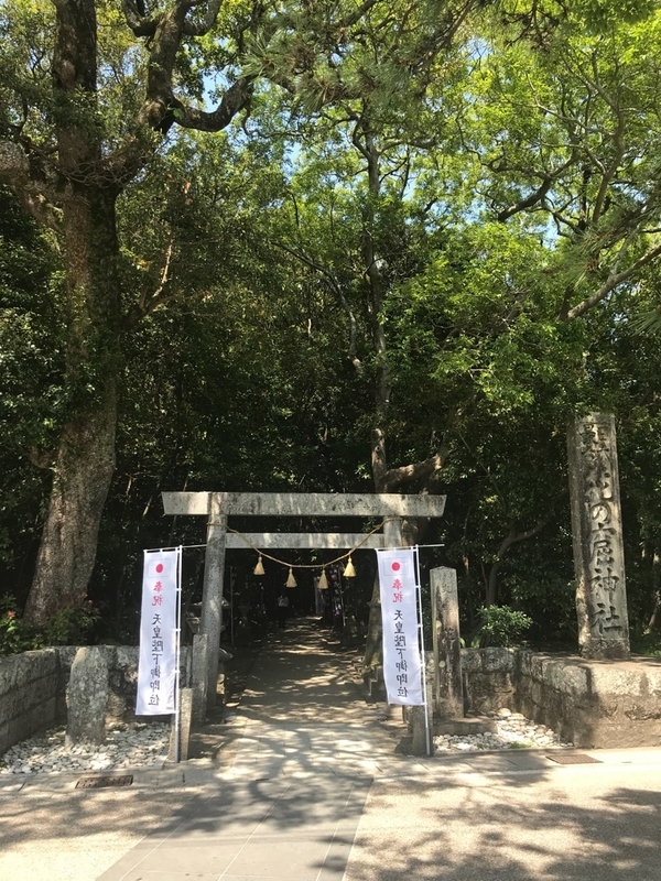 イメージ 11