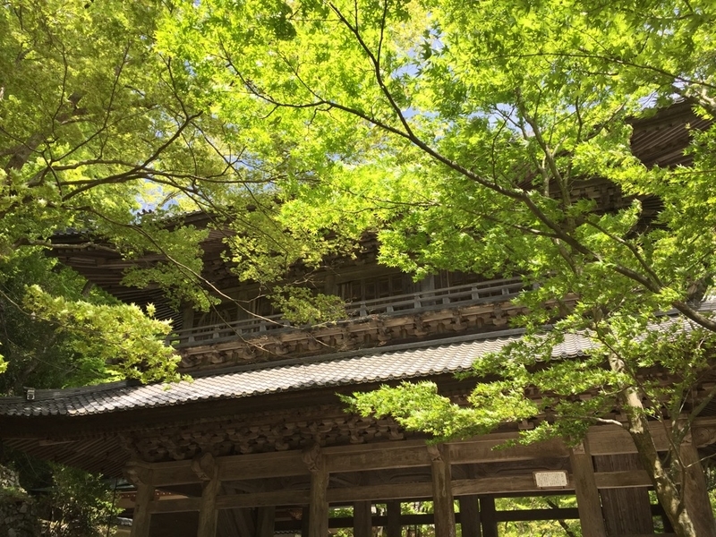 イメージ 5