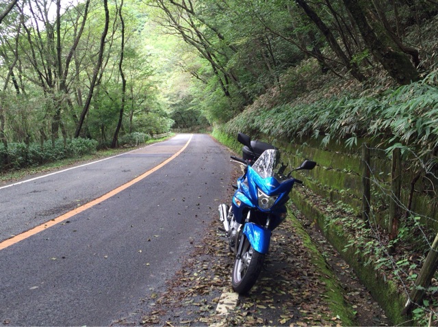 イメージ 3