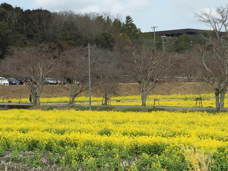 イメージ 4