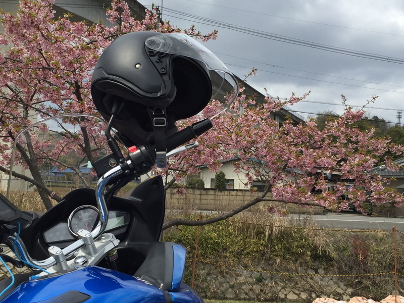 イメージ 7