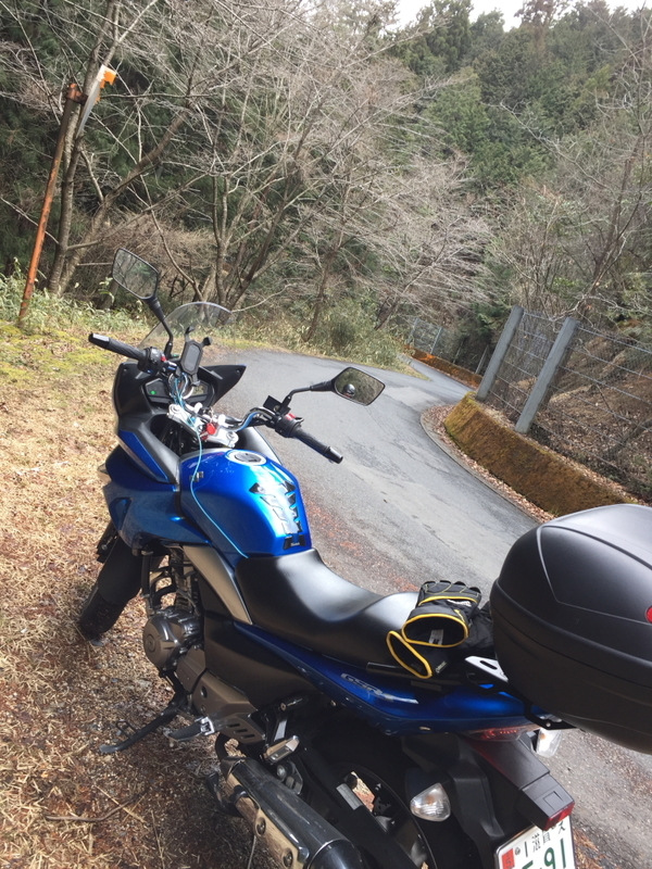 イメージ 9