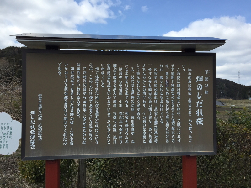 イメージ 10